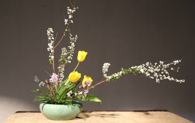 中國插花學習課堂開課啦