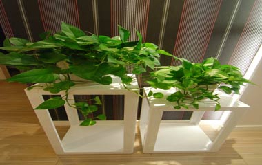 現(xiàn)代奢華瑞立中央花城家居