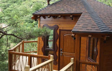 房子在蓋在樹上——云峰山的森林童話樹屋