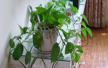 裝修設計帶回家,感受輕快簡約臺式風格