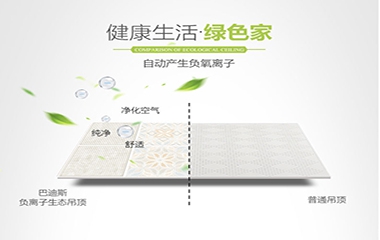 【2019新品】萃取大自然靈感，打造純粹簡(jiǎn)約的頂部空間